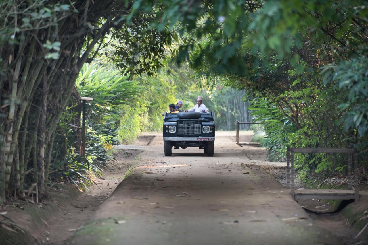 Tiger Tops Tharu Lodge Chitwan Luaran gambar