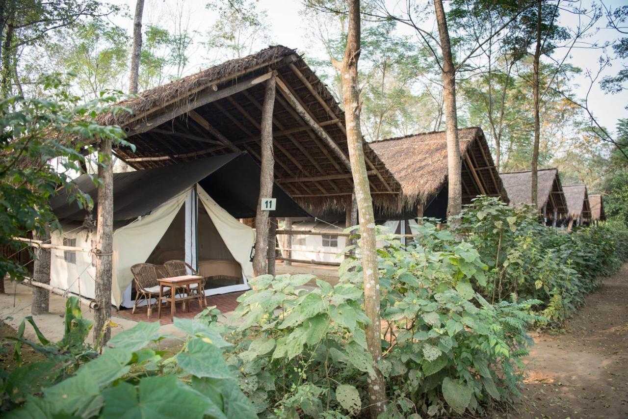 Tiger Tops Tharu Lodge Chitwan Luaran gambar