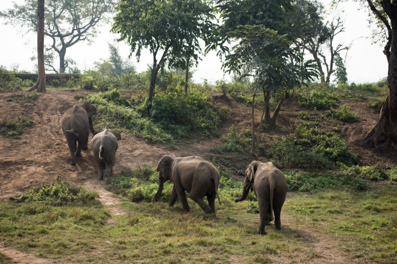 Tiger Tops Tharu Lodge Chitwan Luaran gambar
