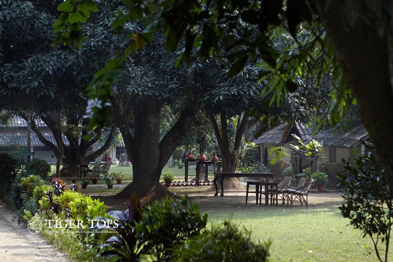 Tiger Tops Tharu Lodge Chitwan Luaran gambar