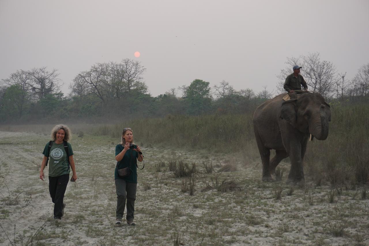 Tiger Tops Tharu Lodge Chitwan Luaran gambar