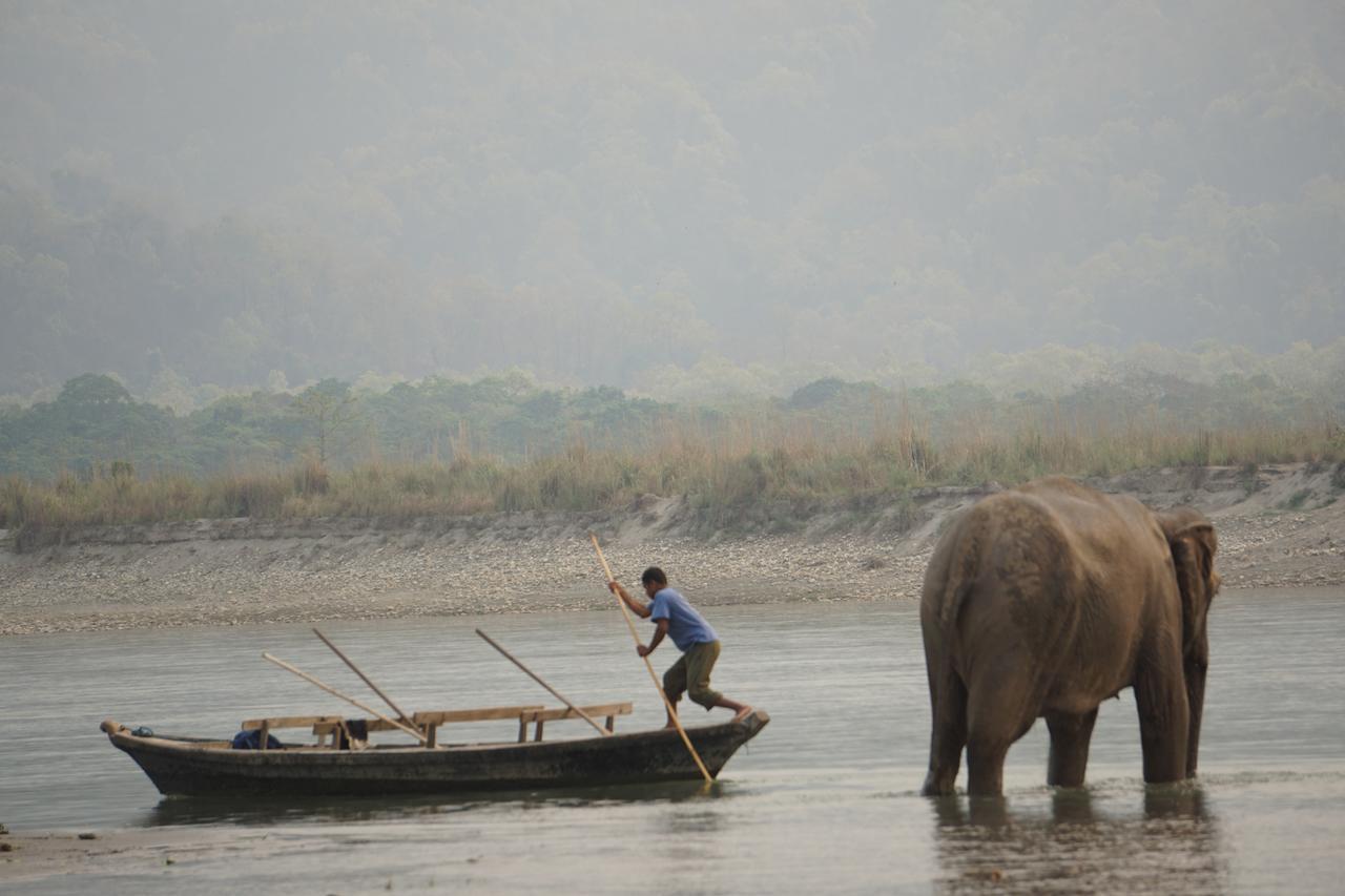 Tiger Tops Tharu Lodge Chitwan Luaran gambar