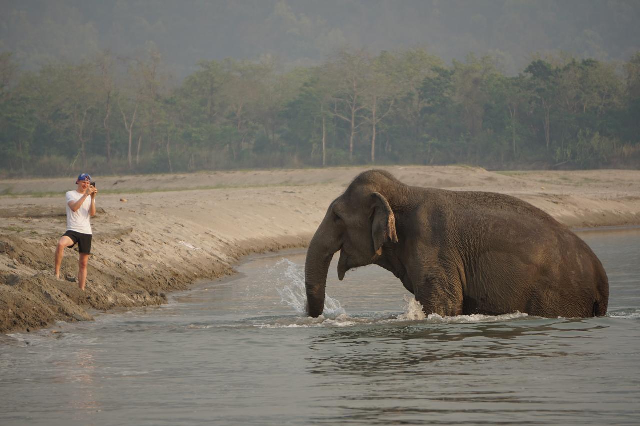 Tiger Tops Tharu Lodge Chitwan Luaran gambar