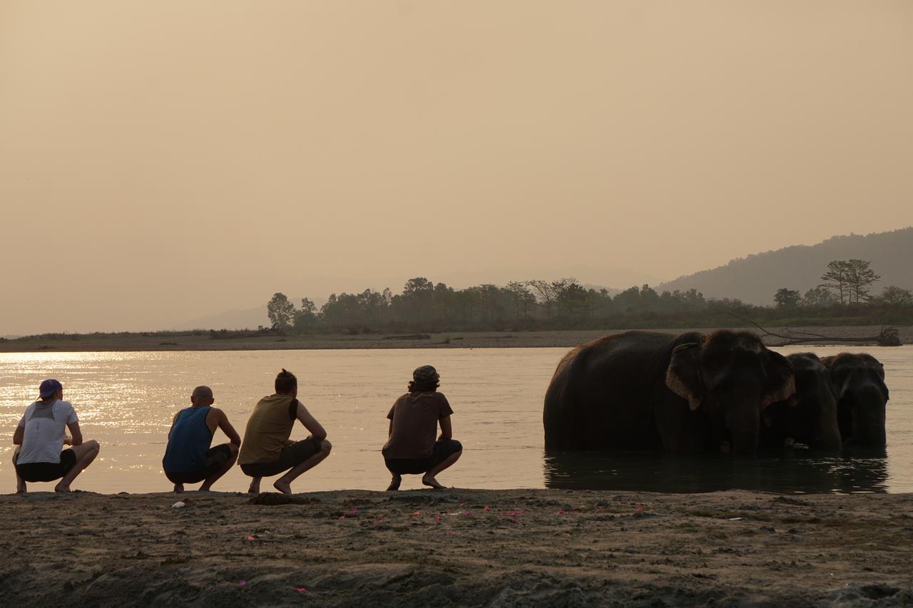 Tiger Tops Tharu Lodge Chitwan Luaran gambar