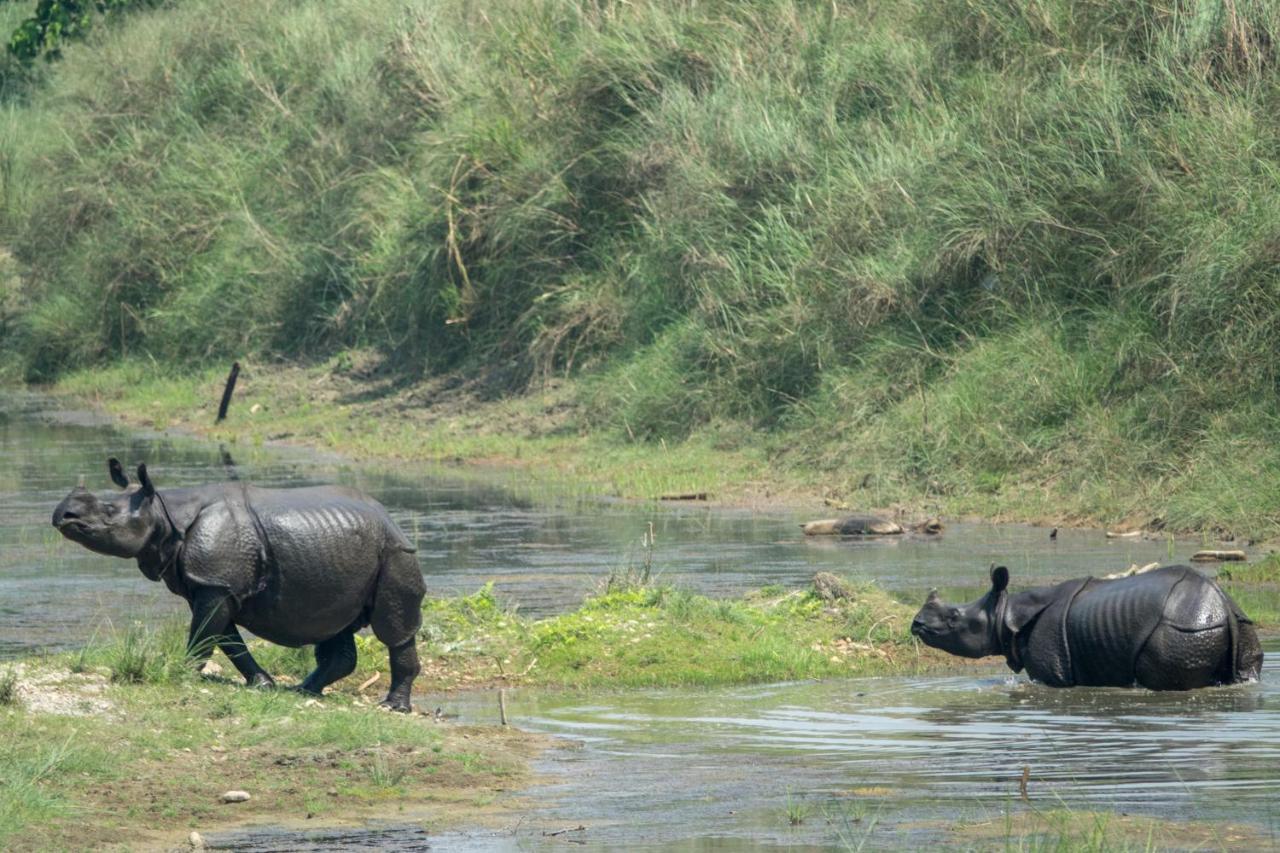 Tiger Tops Tharu Lodge Chitwan Luaran gambar