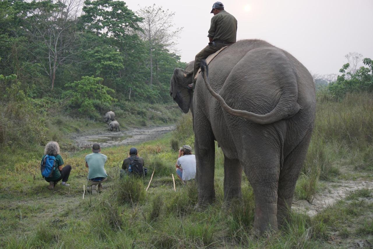 Tiger Tops Tharu Lodge Chitwan Luaran gambar